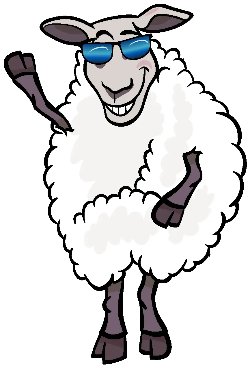 sheep image